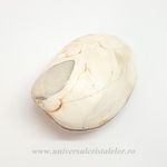 Scoica fosilizata