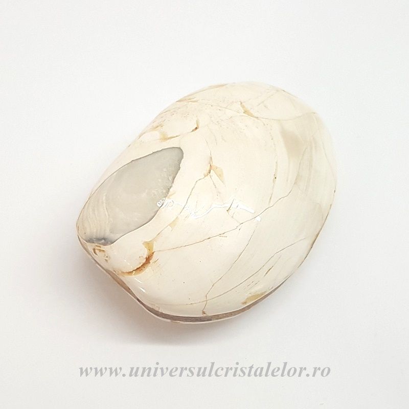 Scoica fosilizata
