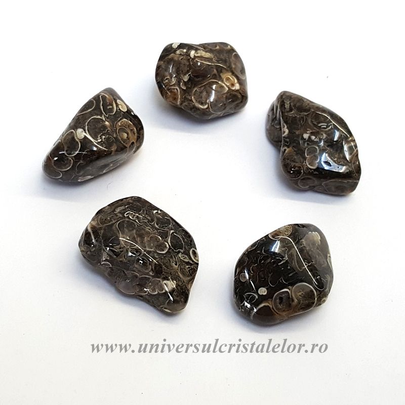 Agat turitela piatra rulata
