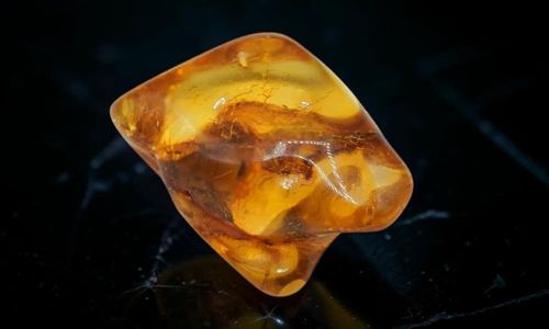 Ce proprietăți are chihlimbarul? Misterul rășinii fosilizate și energia sa naturală