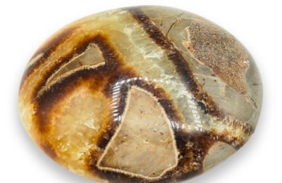 Septaria