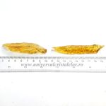 Copal (Chihlimbar tanar)