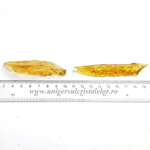 Copal (Chihlimbar tanar)