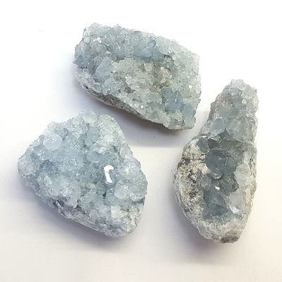 Celestina cluster