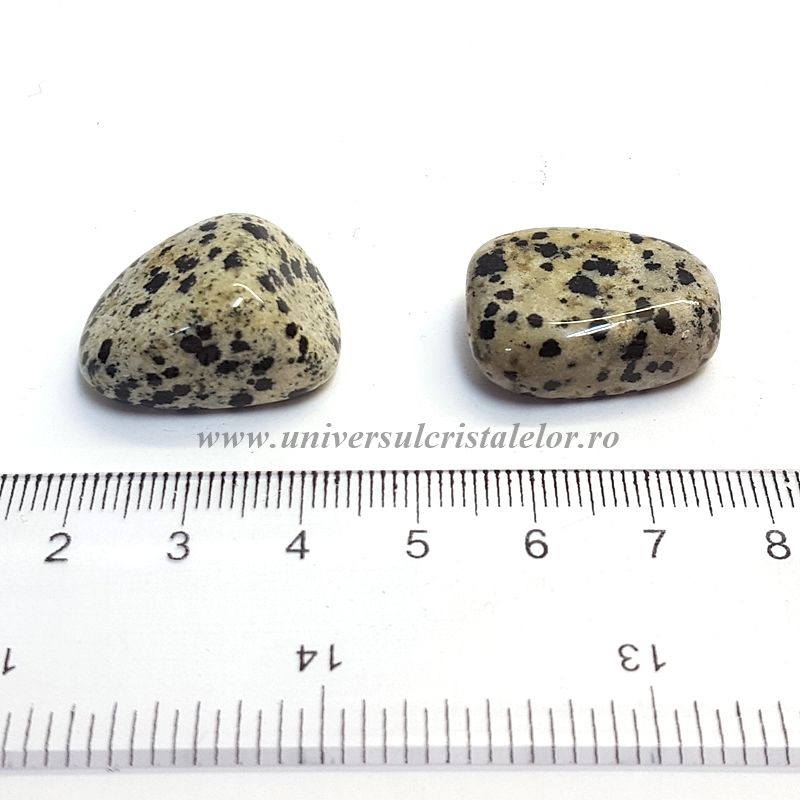 Jasp dalmatian piatra rulata
