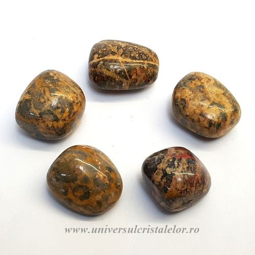 Jasp piele leopard piatra rulata