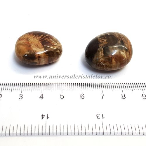 Lemn pietrificat piatra rulata