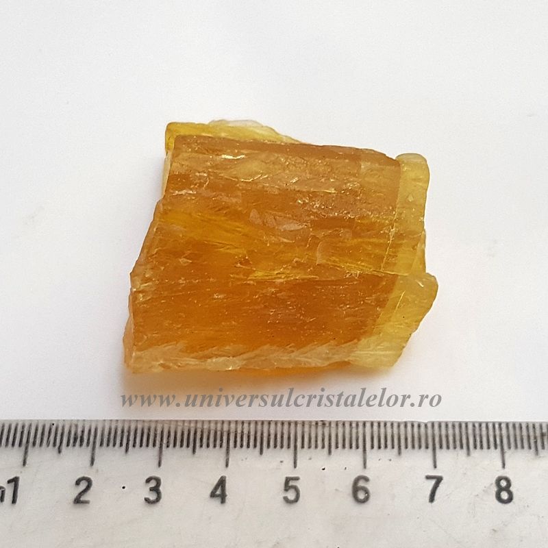 Fluorina galbena