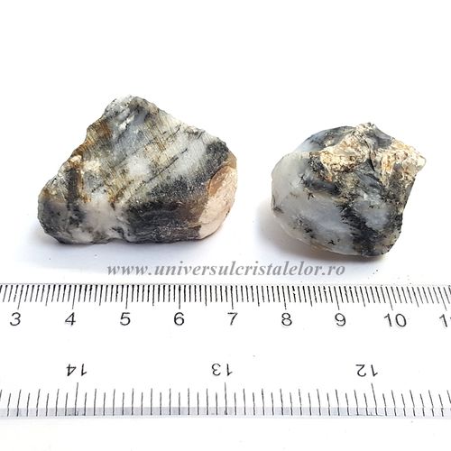 Opal dendritic m01