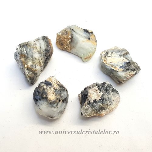 Opal dendritic m01