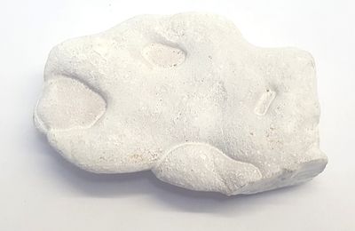 Piatra zanelor (Menilit)