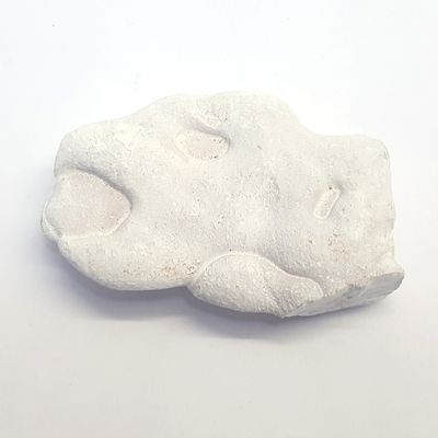 Piatra zanelor (Menilit)