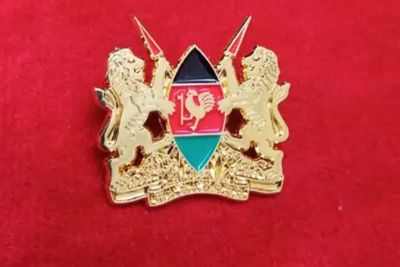 Coat of arms lapel pin 