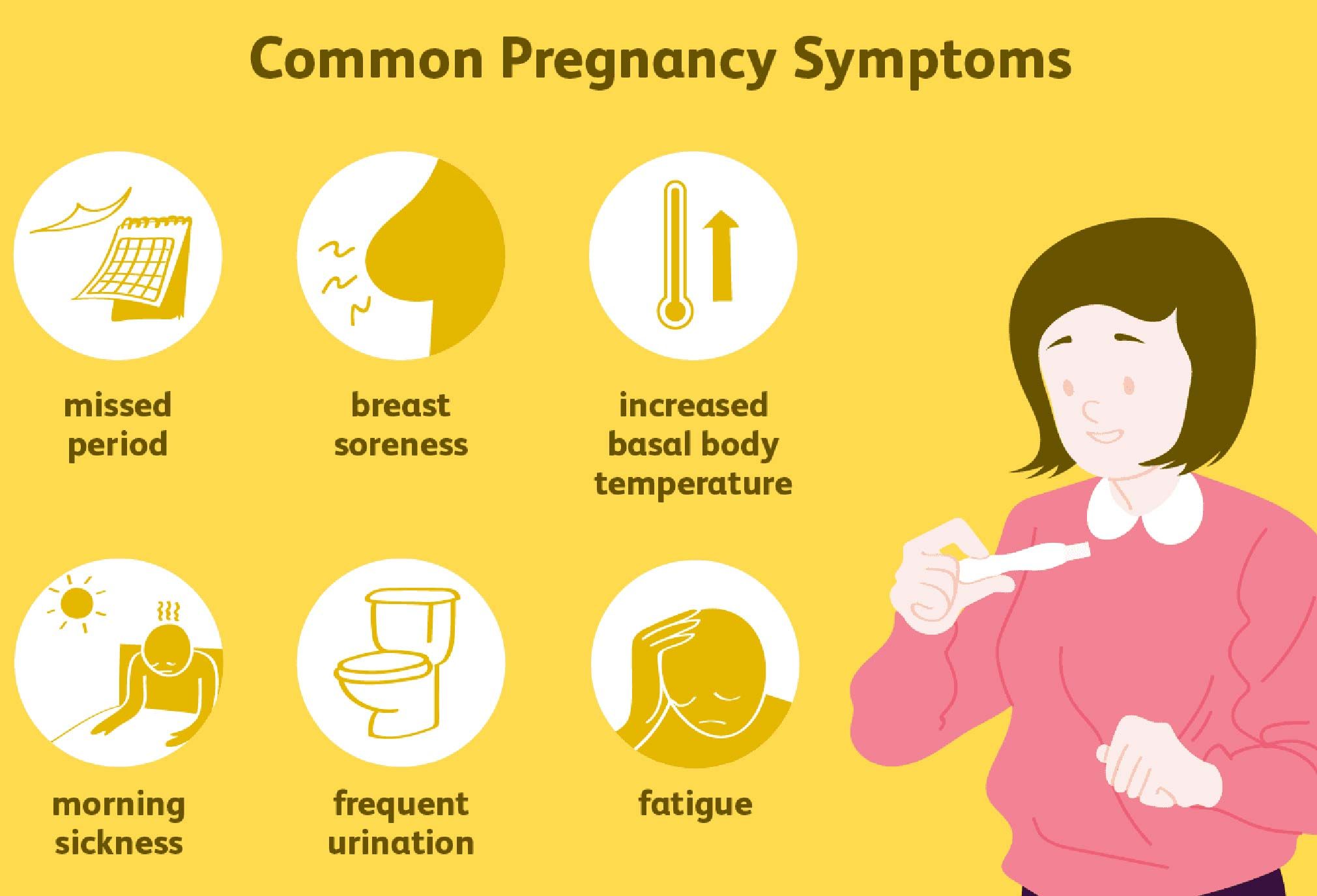 Frequent UrinationDuring Pregnancy - Symptoms - Treatment - Mobidoctor