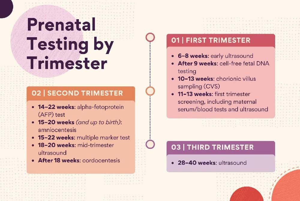 A Guide to Prenatal Testing and Genetic Screening