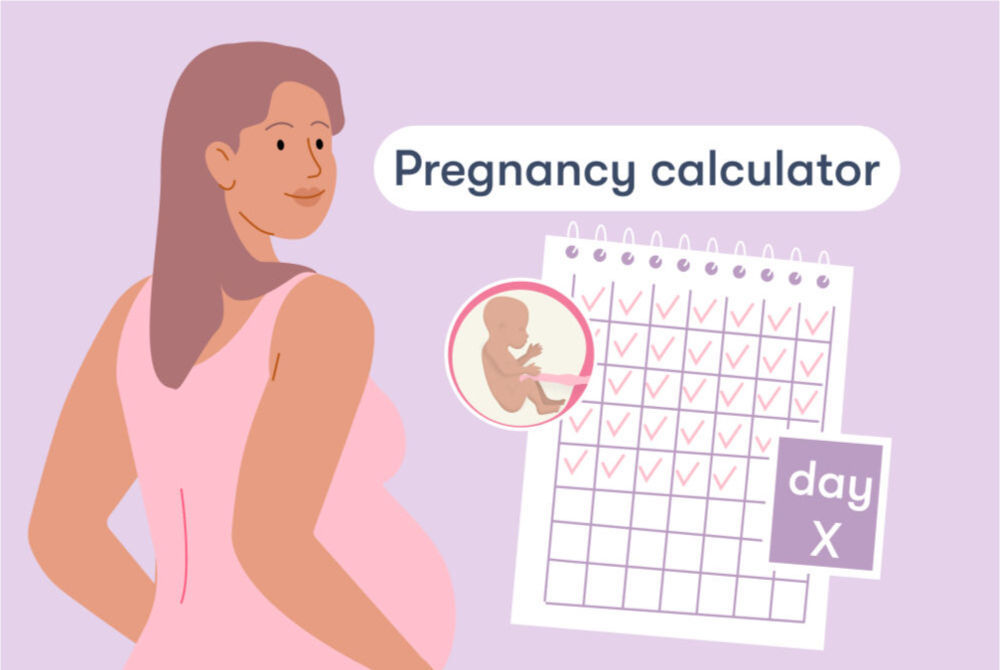 How to Track Your Baby's Development with a Due Date Calculator?