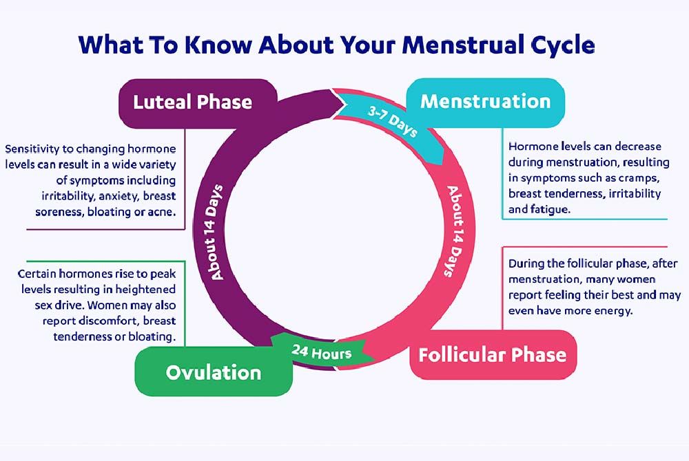 menstrual Menstrual Health Understand Your Cycle for Better Wellbeing