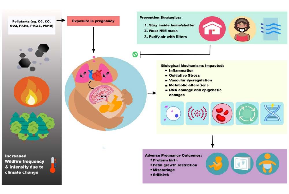 Pregnancy and the impact of air pollution: Minimizing exposure
