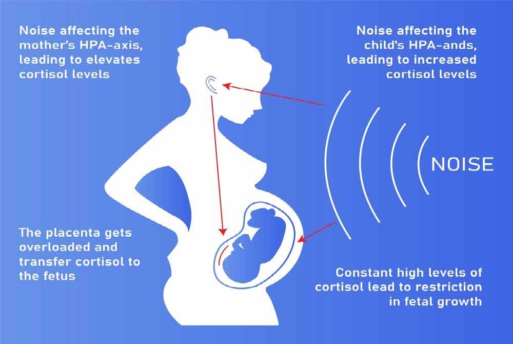 Pregnancy and the impact of noise pollution: Protecting your babys hearing