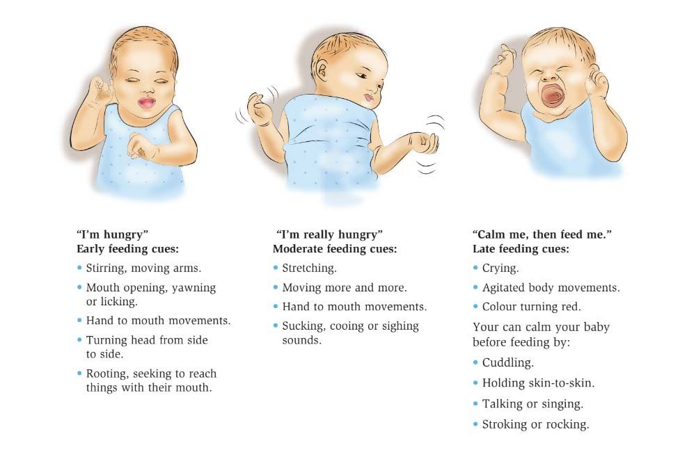 Recognizing hunger and fullness cues in your newborn