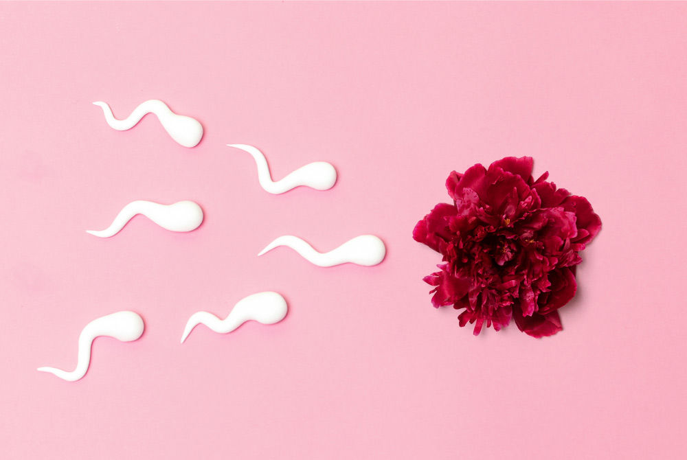 Sperm Leakage After Intercourse: Causes and Solutions