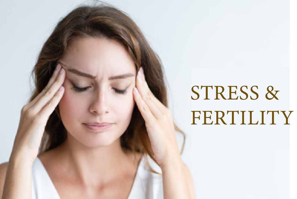 The impact of stress on fertility and conception