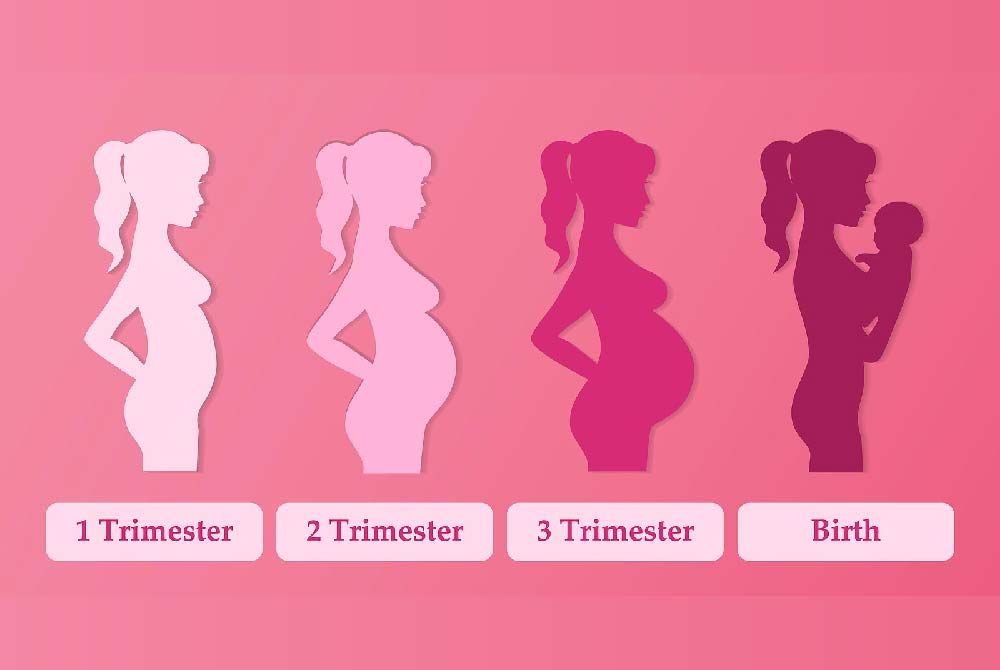 What to Expect During the First Trimester of Pregnancy