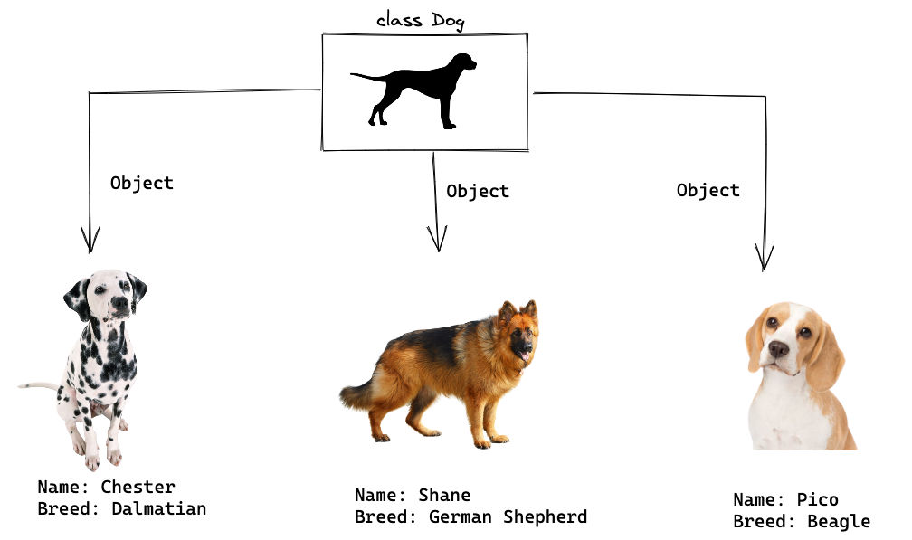 Creating Objects - Learn Python | BigBinary Academy
