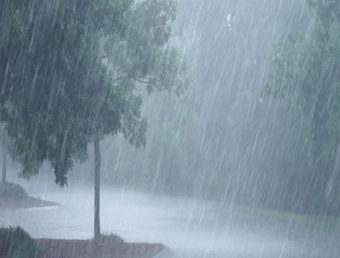 barish_11_august_xNhDWwaom.jpg