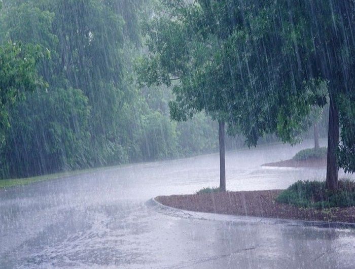 barish_ZnLvcriKK.jpg