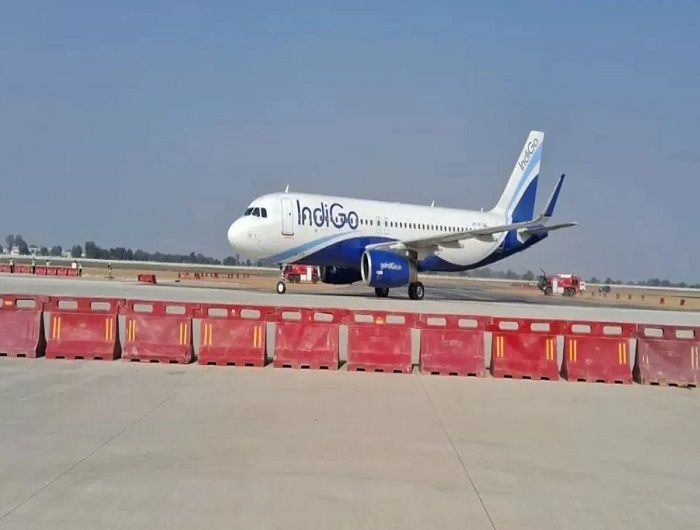 indigo_mT4ueCj5z.jpg