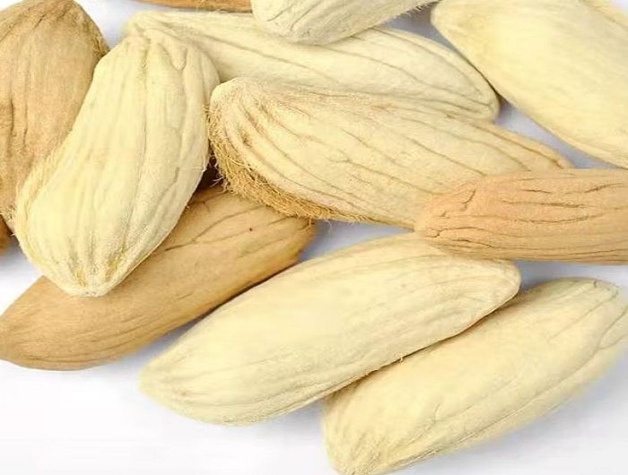 mango_seed__QxMxGvhf.jpg