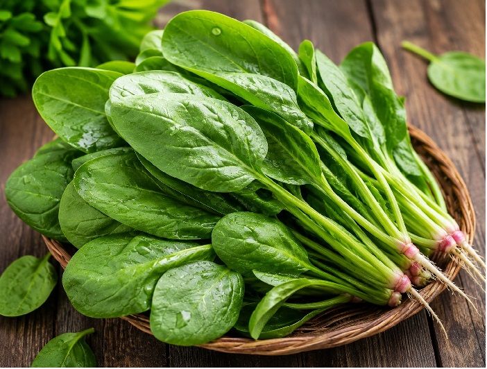 spinach_yi7fXcMLX.jpg