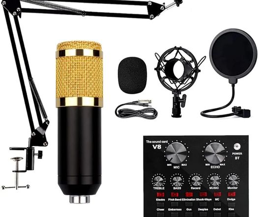 Microphone condenser professionnel BM-800