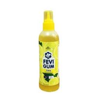 Fevi Gum Lime Fragrance Image