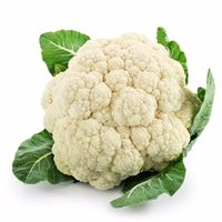 DB Cauliflower (600g to 900g) Image