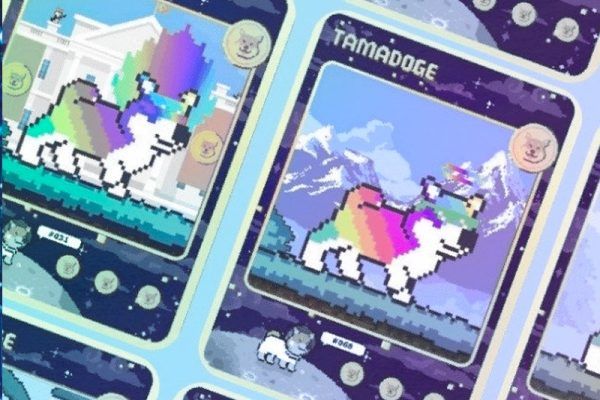 Tamadoge Ultra-Rare NFT Top Bid Exceeds $2,750 – Is This the Next Big NFT Drop?