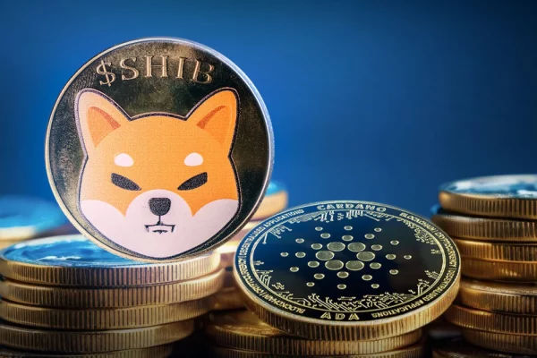 SHIB Flips Cardano By Volume Amid Massive Token Price Gains