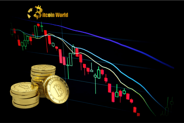 Bitcoin Drops to Below $25,000 for the First Time in Three Months