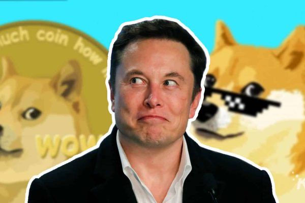 Dogecoin Defies Bear Market as Musk Twitter Speculation Fuels Rally
