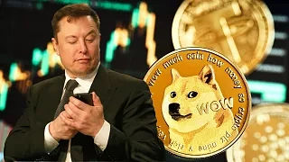 Elon Musk Accused of ‘Unlawful Harassment’ in High-Stakes Dogecoin Lawsuit