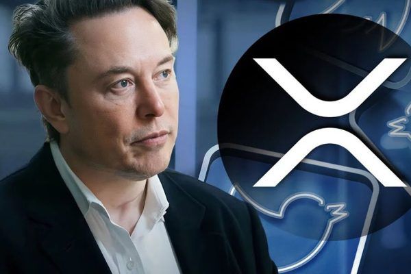 Elon Musk Criticized for XRP Scam Posts on X Platform