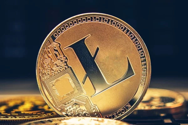 Litecoin Reigns as Top Cryptocurrency for Payments