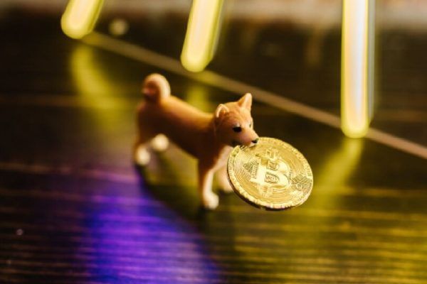 Shiba Inu Outshines Bitcoin Ahead of Shibarium Debut