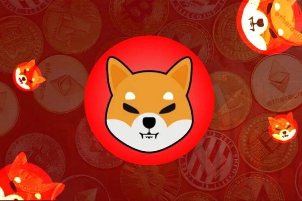 Shiba Inu’s Lead Developer Promises Exciting Developments After Shibarium Launch