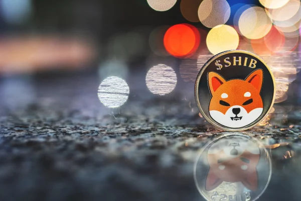 Shibarium Beta Emerges as a Top Contender in the Crypto Space with Record-Breaking Transaction Volume