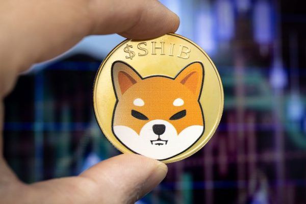 SHIB Explosive Rally Cools Off