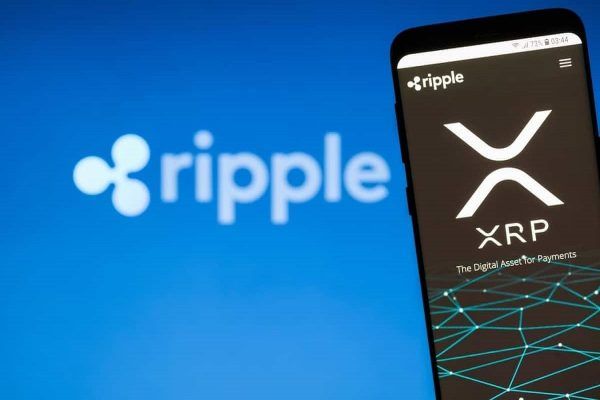 XRP Ledger AMM Pools Hit by Glitch, RippleX Halts Deposits