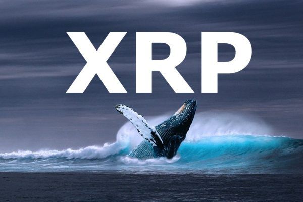 XRP Whales Trigger Speculation Amid New Ripple Lawsuit Order