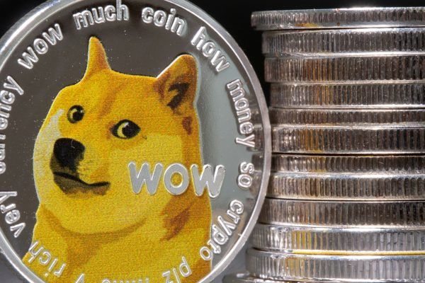 Kabosu, the Doge Meme Dog, Dies at 18